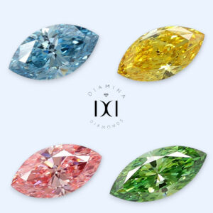 Marquises de couleurs