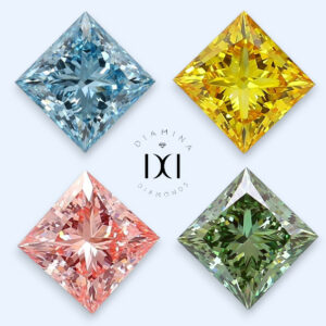 Princesses de couleurs